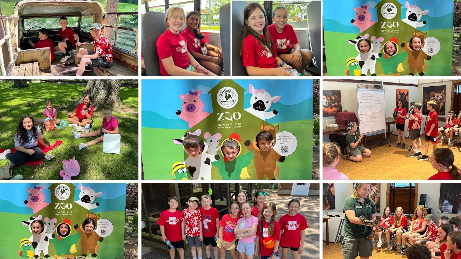 grade%204%20field%20trip%20zoo.jpg