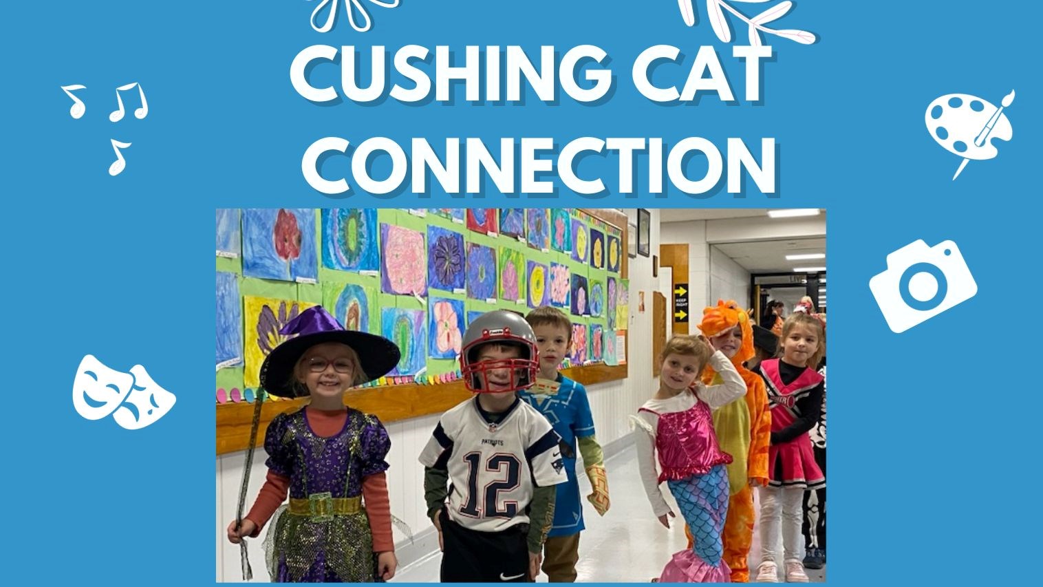 Cushing Cat Connection